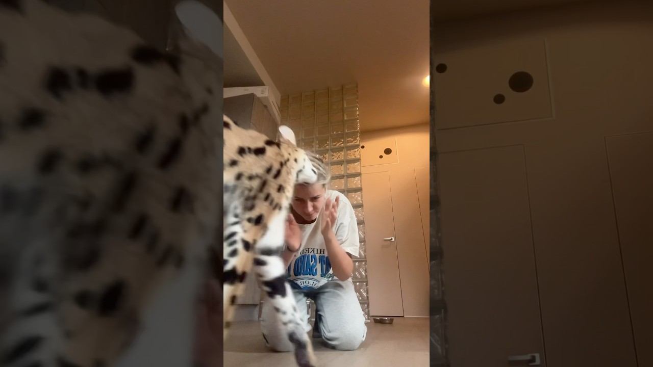 Кто слушал стук, тот уже знает, что это была моя головаНе жалейте сердечек, если мы вам нравимся