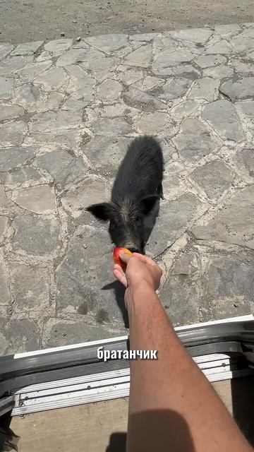 Обычное Утро Жизни в Доме На Колесах =)