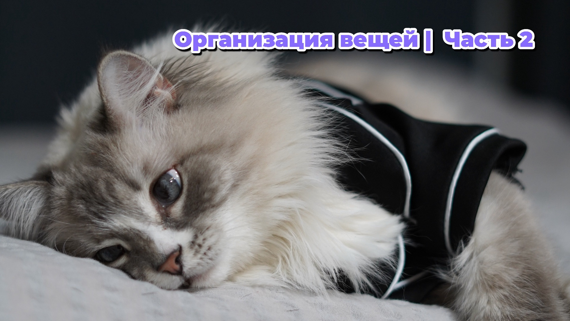 Организация хранения вещей | Часть 2