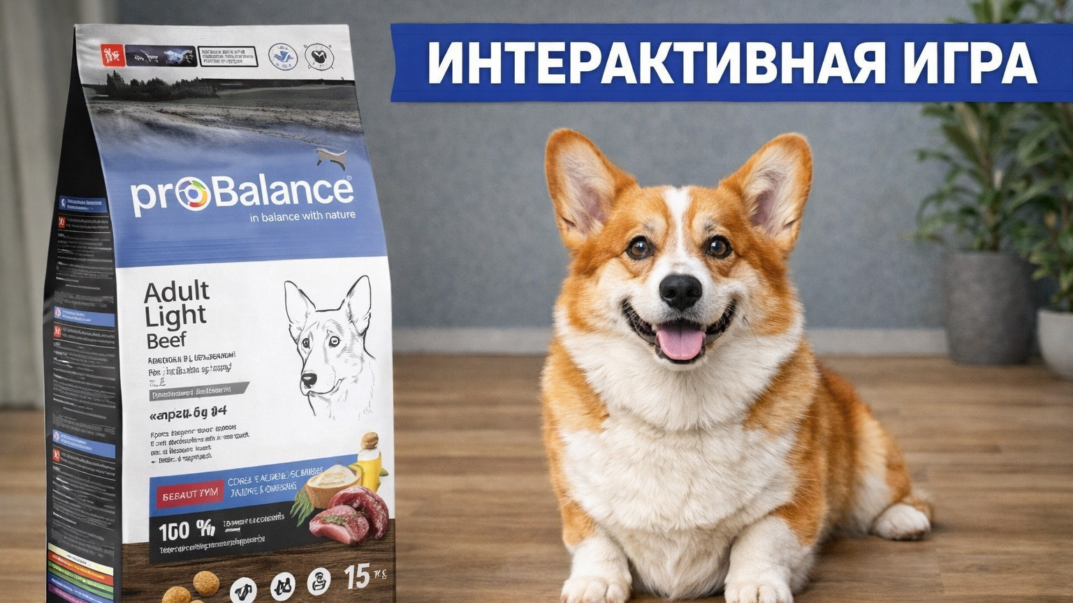 Игрушка для собак | Интерактивная игрушка