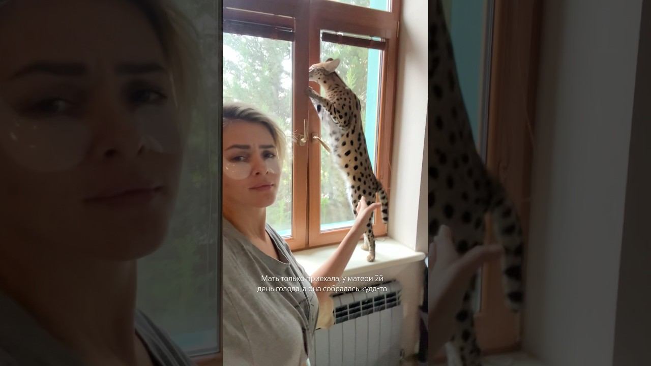 Кто ее научил? Давайте хором! Даю подсказку на букву «С» Кто угадает тому персональный привет!