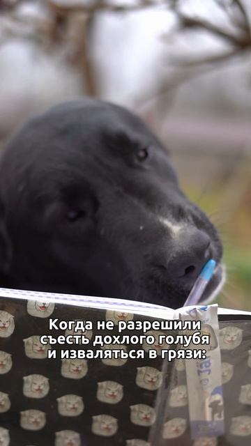Все правильно? #shorts